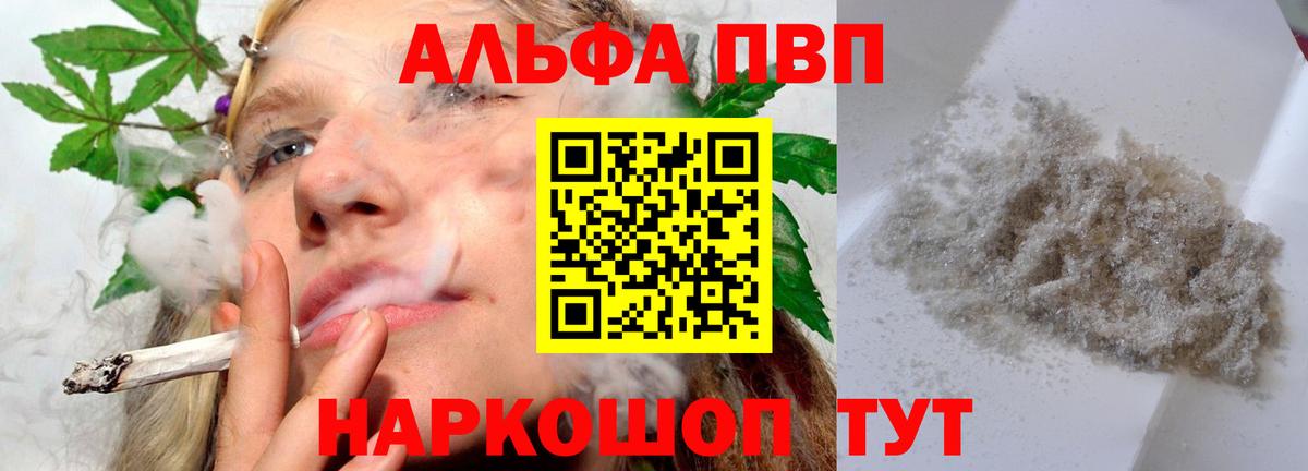 A PVP СК КРИС Новоалександровск