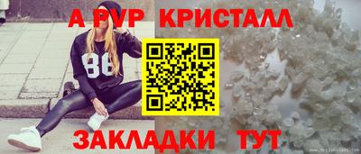 стафф Гагарин