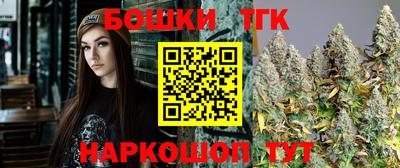 мдпв Гатчина