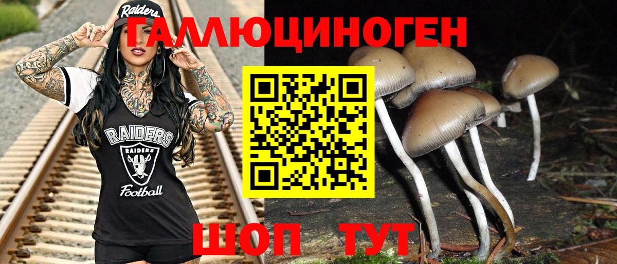 Псилоцибиновые грибы прущие грибы Новоалександровск